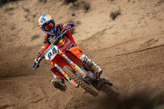 herlings