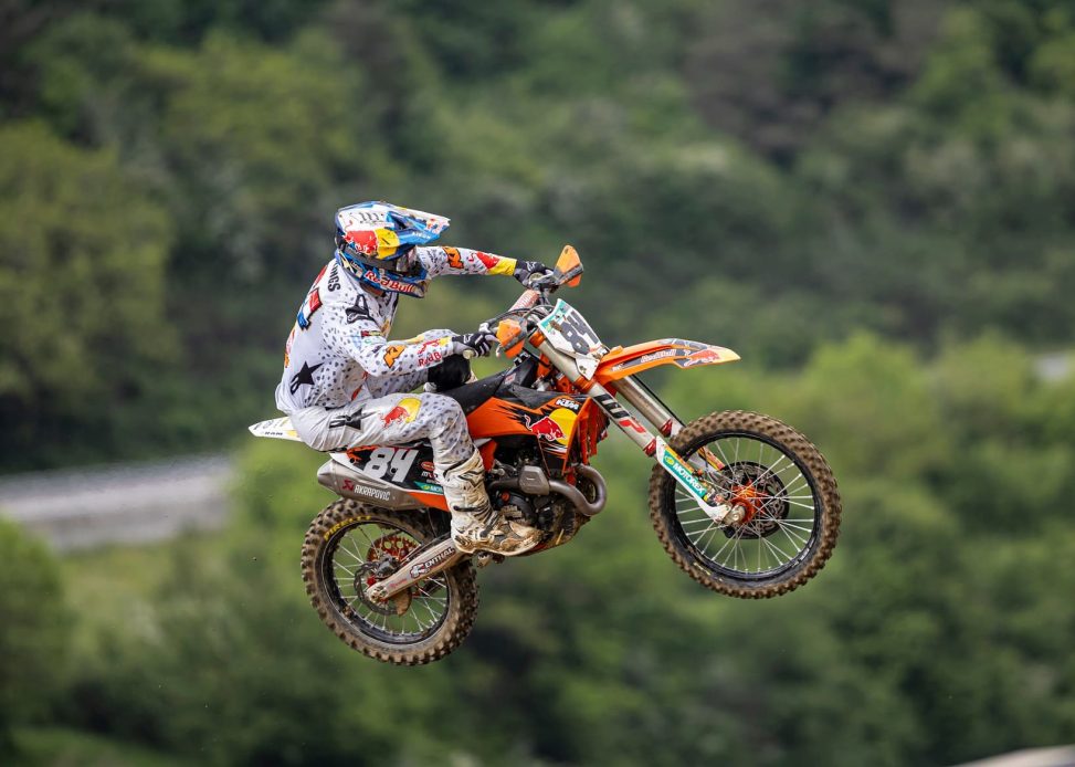 herlings
