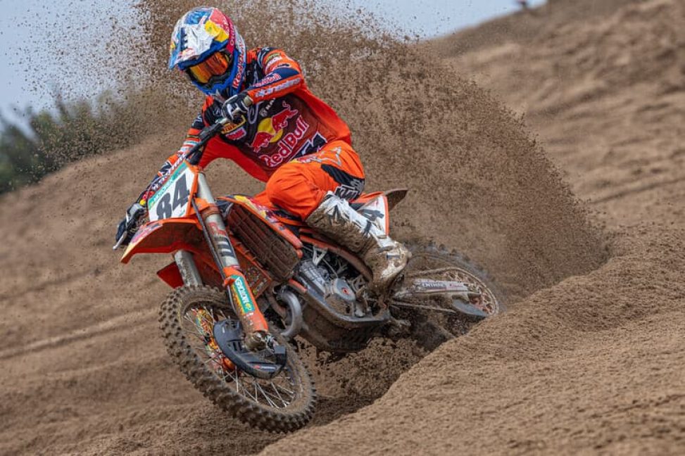 herlings