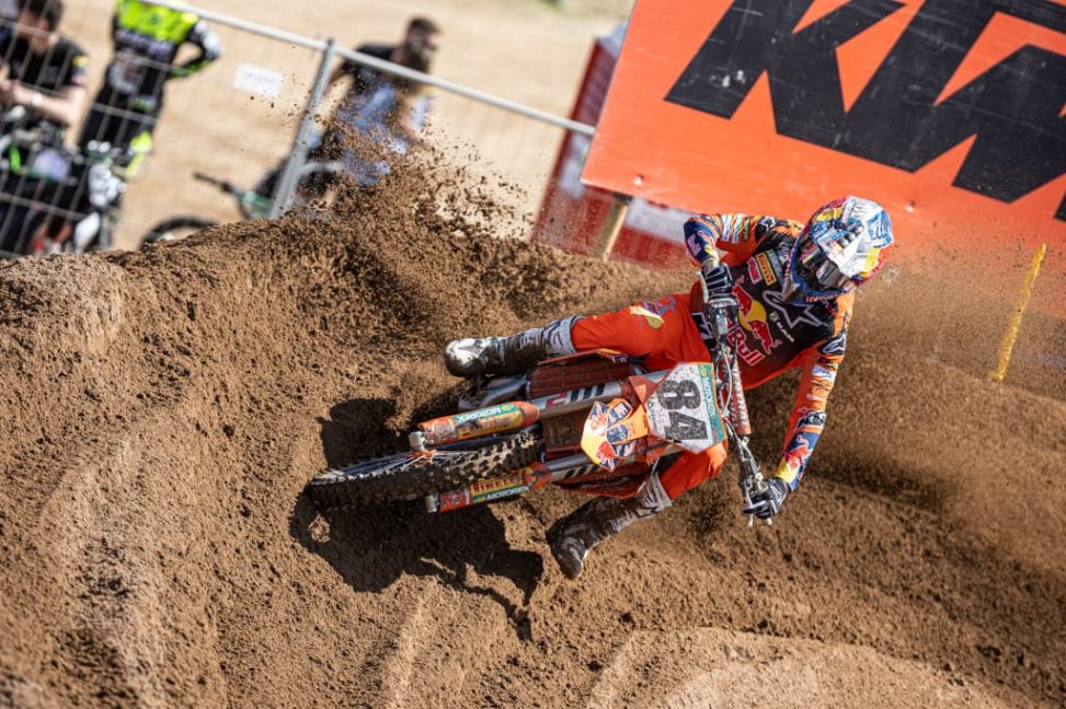 herlings-7