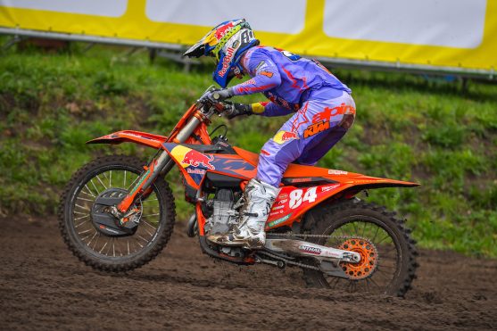 herlings dutch masters 24