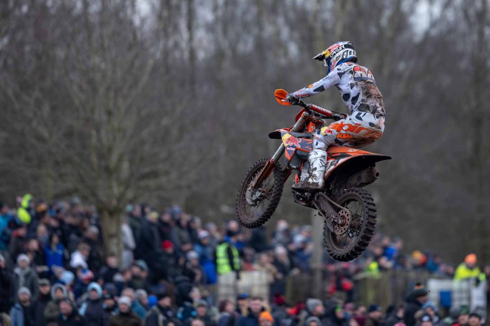 herlings harfsen 24