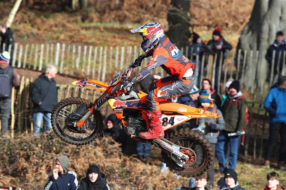 herlings hawkstone park