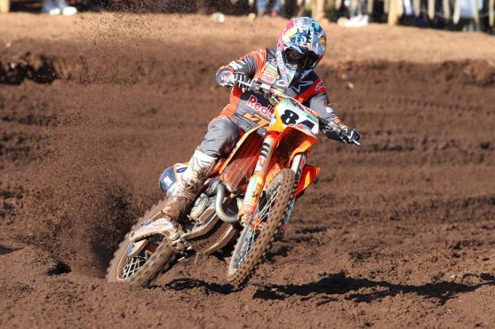 herlings hawkstone3