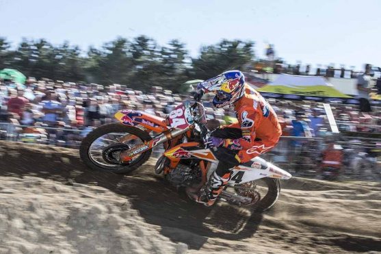 Herlings