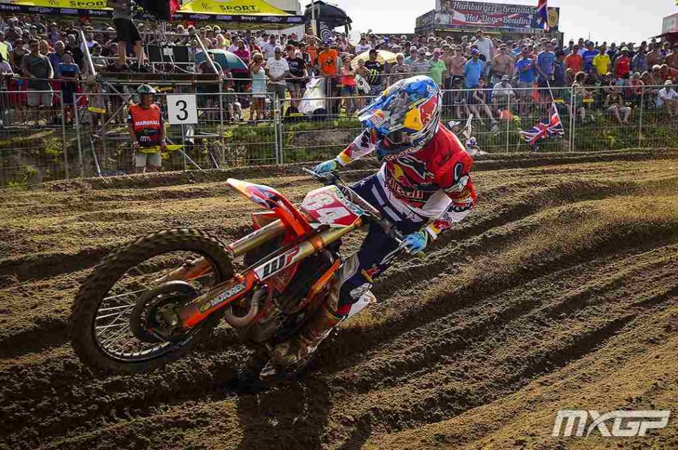 herlings