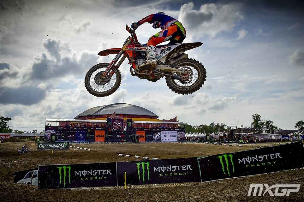 herlings