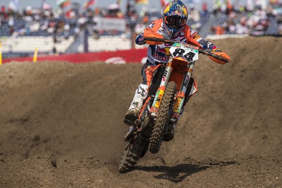 herlings