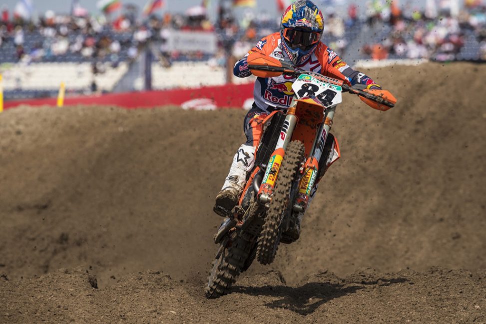 herlings