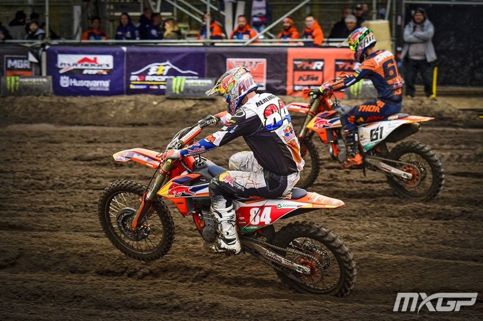 herlings