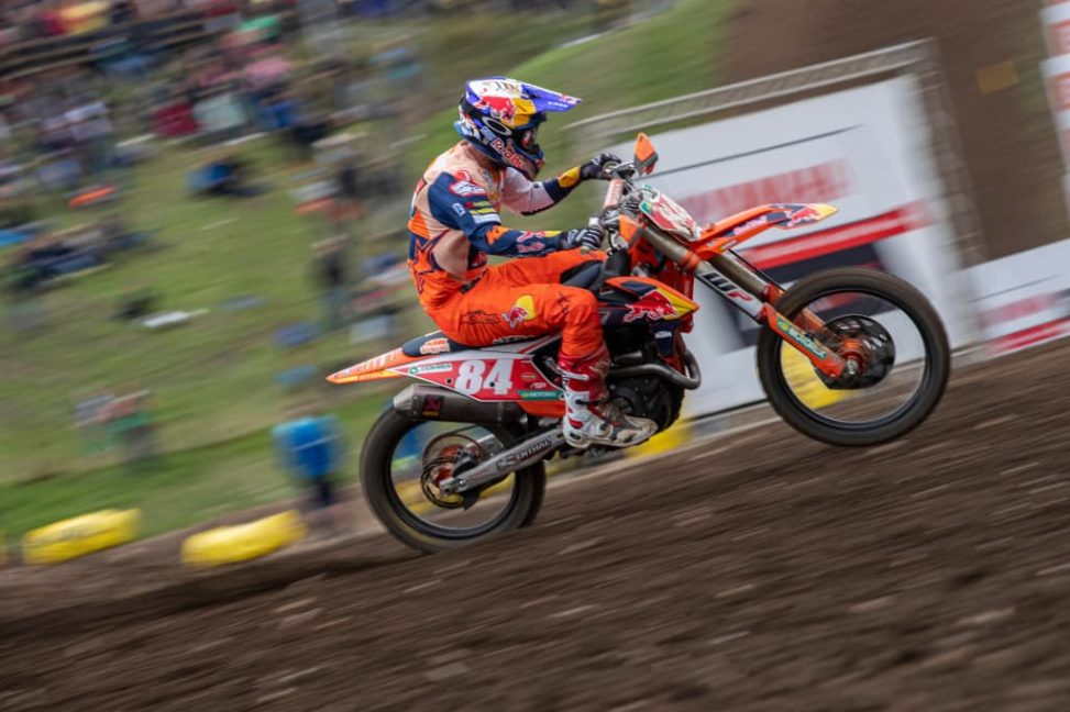 herlings