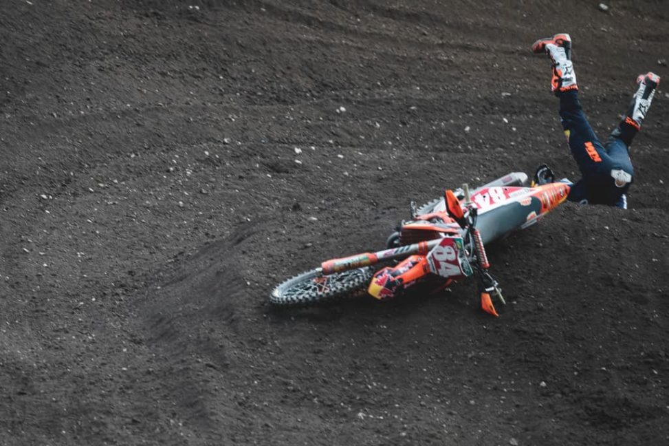 herlings