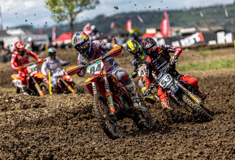 herlings