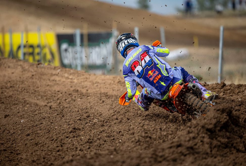herlings