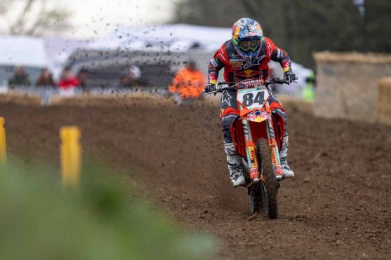 herlings romagne_edited