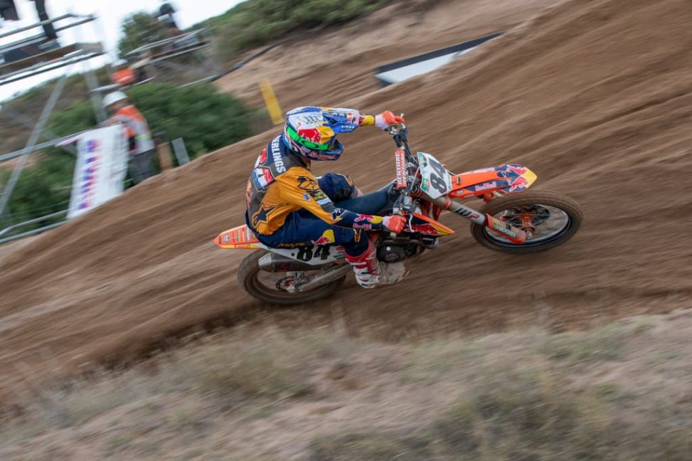 herlings(1)