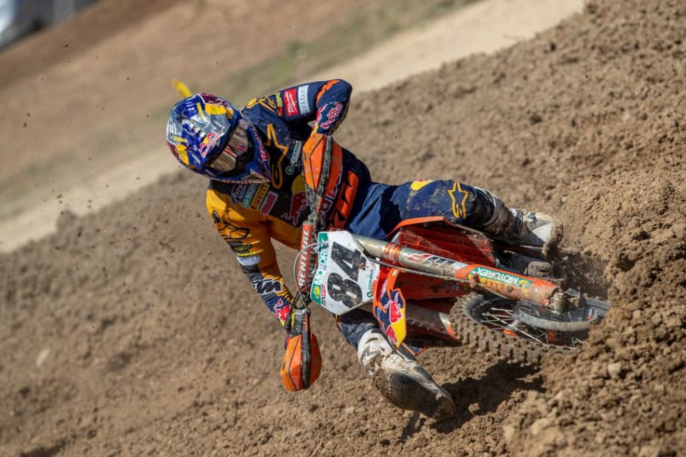 herlings(2)