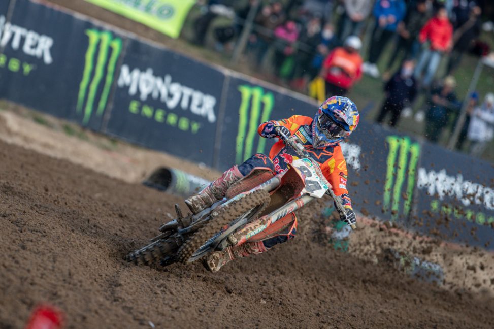 herlings22