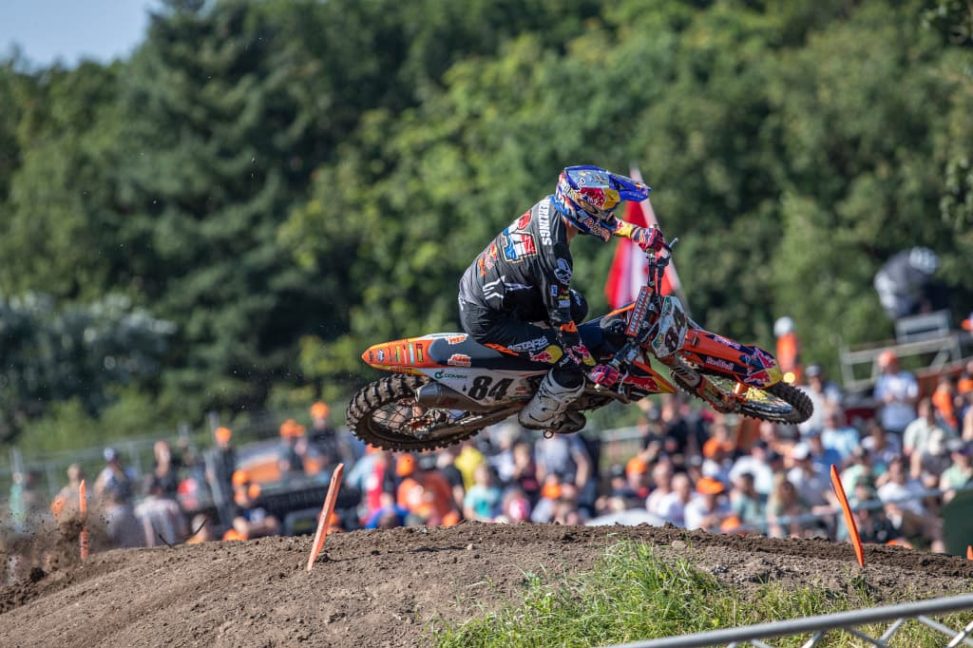 herlings(4)