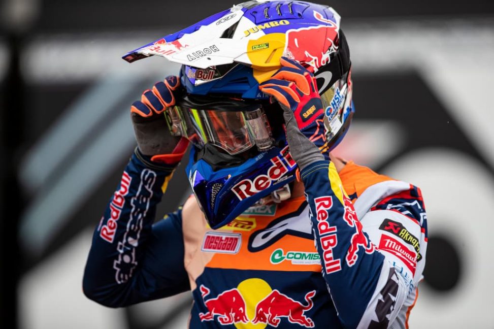 herlings(6)