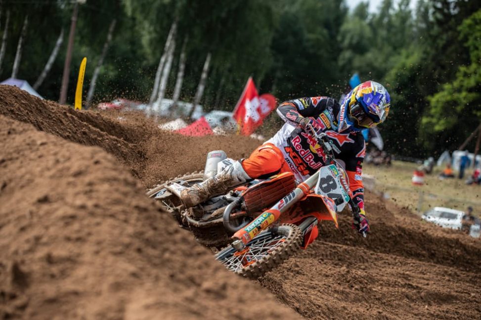 herlings(7)