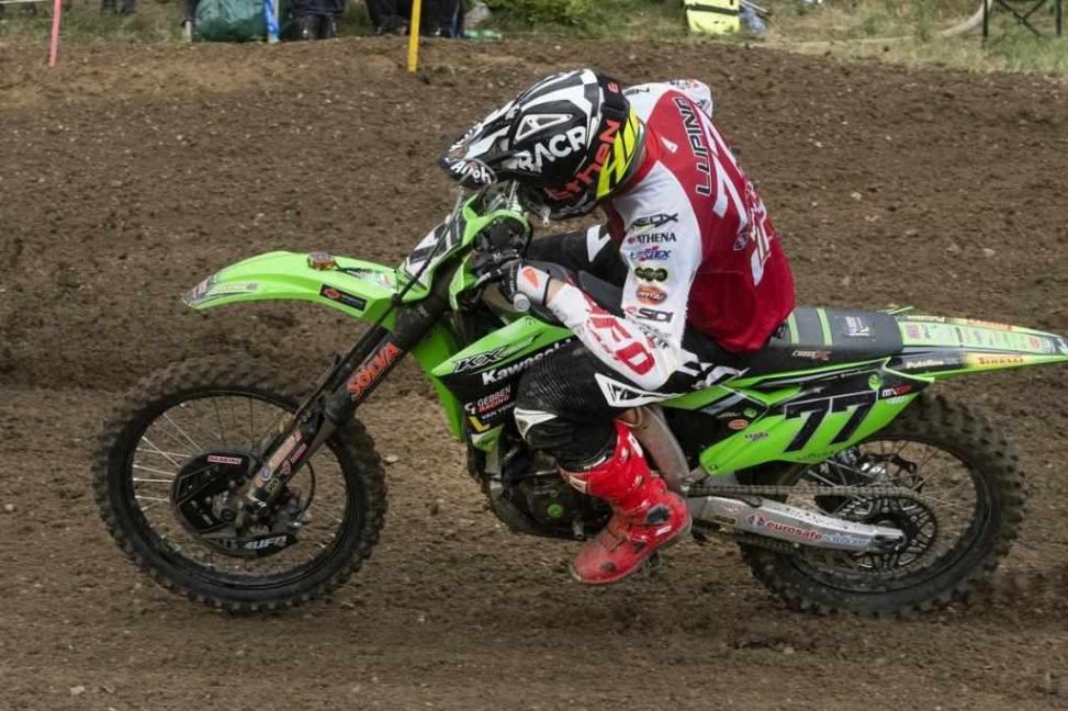 lupino_loket-1024x683