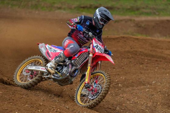 mewse wildcardmxgp_edited