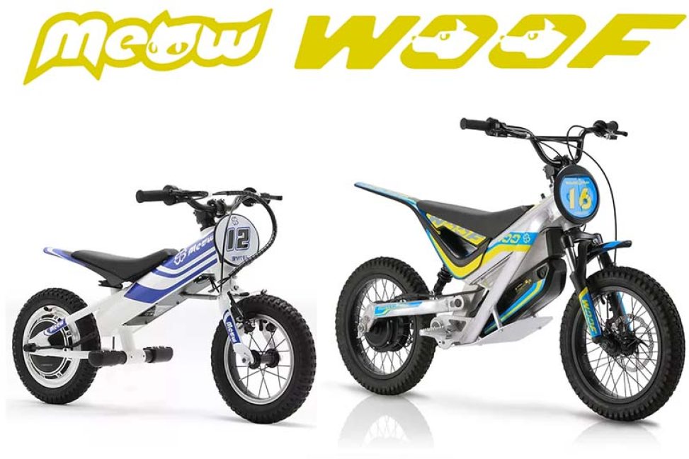 Yotsuba Moto España