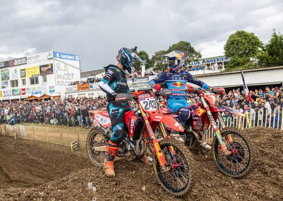 prado-gajser