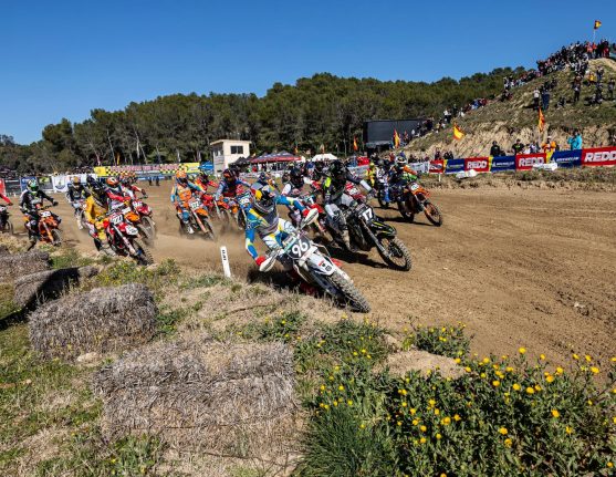 talavera start mx2